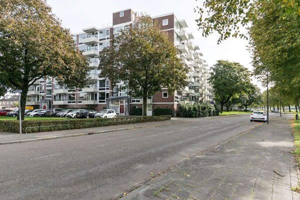 Lagemorgenlaan 136, 's-Hertogenbosch
