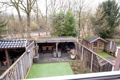 tuin1.jpg
