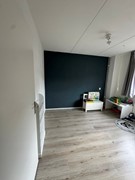 Foto 12.jpg