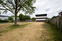 tuin4.jpg