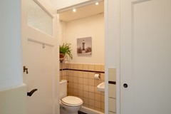 toilet1.jpg
