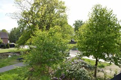 DSC_1989.JPG