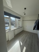 Foto 16.jpg