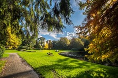 AbrahamLedeboerpark.jpeg