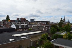 DSC_0654.jpg