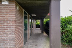 berg1.jpg