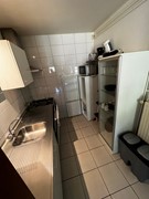IMG_3905.jpeg