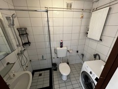 IMG_3900.jpeg