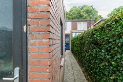 tuin4.jpg
