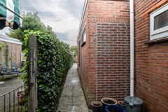 tuin1.jpg