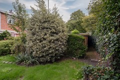 tuin3.jpg