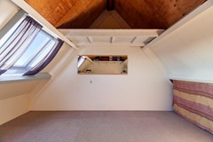 Vingerhoedskruid 6-55.jpg