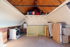 Vingerhoedskruid 6-58.jpg