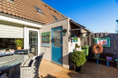 Vingerhoedskruid 6-39.jpg