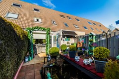 Vingerhoedskruid 6-32.jpg