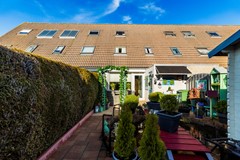 Vingerhoedskruid 6-33.jpg