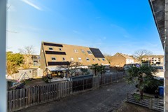 Vingerhoedskruid 6-50.jpg