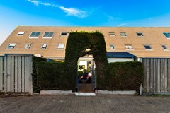 Vingerhoedskruid 6-60.jpg