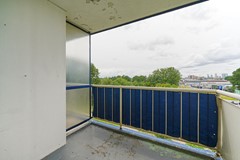 DSC03840.jpg