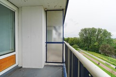 DSC03842.jpg