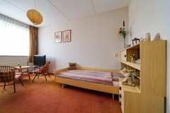 DSC06544.jpg