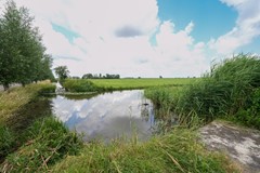 DSC06571.jpg