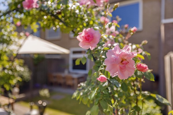 Medium property photo - Charpentierstraat 11, 5283 KS Boxtel