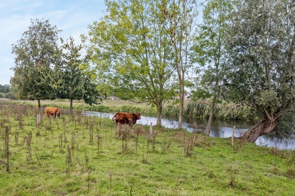 Foto - Te koop: De Doelen 25, 5283 WX Boxtel