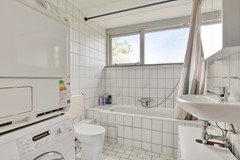 Rivierenpark364535ejTerneuzenNL-17.jpg