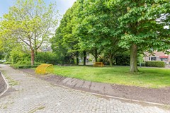 Rivierenpark364535ejTerneuzenNL-35.jpg
