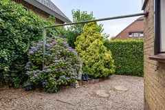 tuin (4).jpg