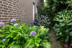 Tuin pad langs huis.jpg