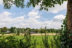 Omgeving weiland.jpg