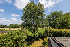 Omgeving weiland boom.jpg