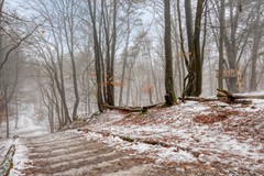 Omgeving avonturenbos 2.jpg