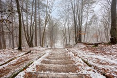 Omgeving avonturenbos.jpg