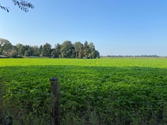 Verkocht onder voorbehoud:Stevensbeekseweg, 5844 AB Sint Anthonis - Foto
