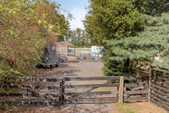 buiten paardengebeuren (1).jpg