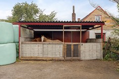 buiten paardengebeuren (7).jpg