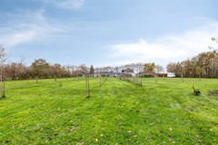 camperplekken (5).jpg