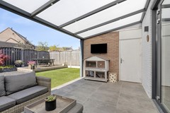 Groenling105831MXBoxmeer-32.jpg
