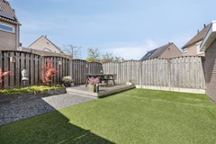 Groenling105831MXBoxmeer-34.jpg