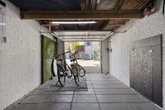 Groenling105831MXBoxmeer-42.jpg