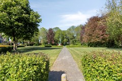Groenling105831MXBoxmeer-43.jpg