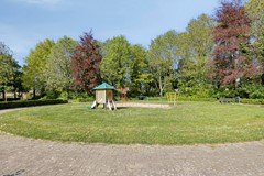 Groenling105831MXBoxmeer-44.jpg
