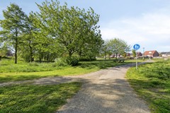 Groenling105831MXBoxmeer-45.jpg