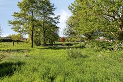 Groenling105831MXBoxmeer-46.jpg
