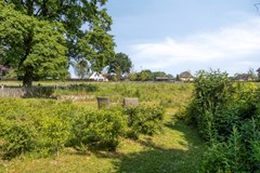 Knapheidepad2C6562DWGroesbeekNL-66.jpg