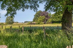 Knapheidepad2C6562DWGroesbeekNL-73.jpg