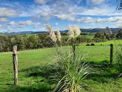 hoge huis uitzicht 2.jpg